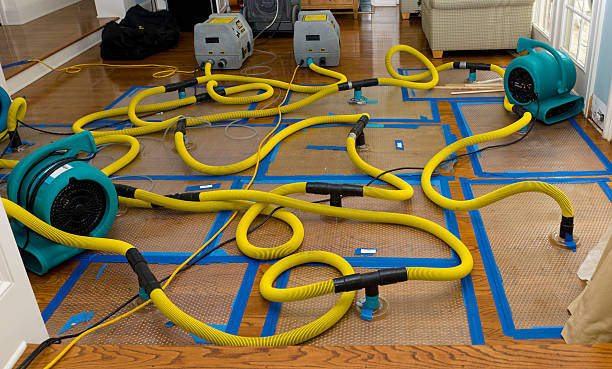 Professional Sewage Cleanup technician working in Biola, CA